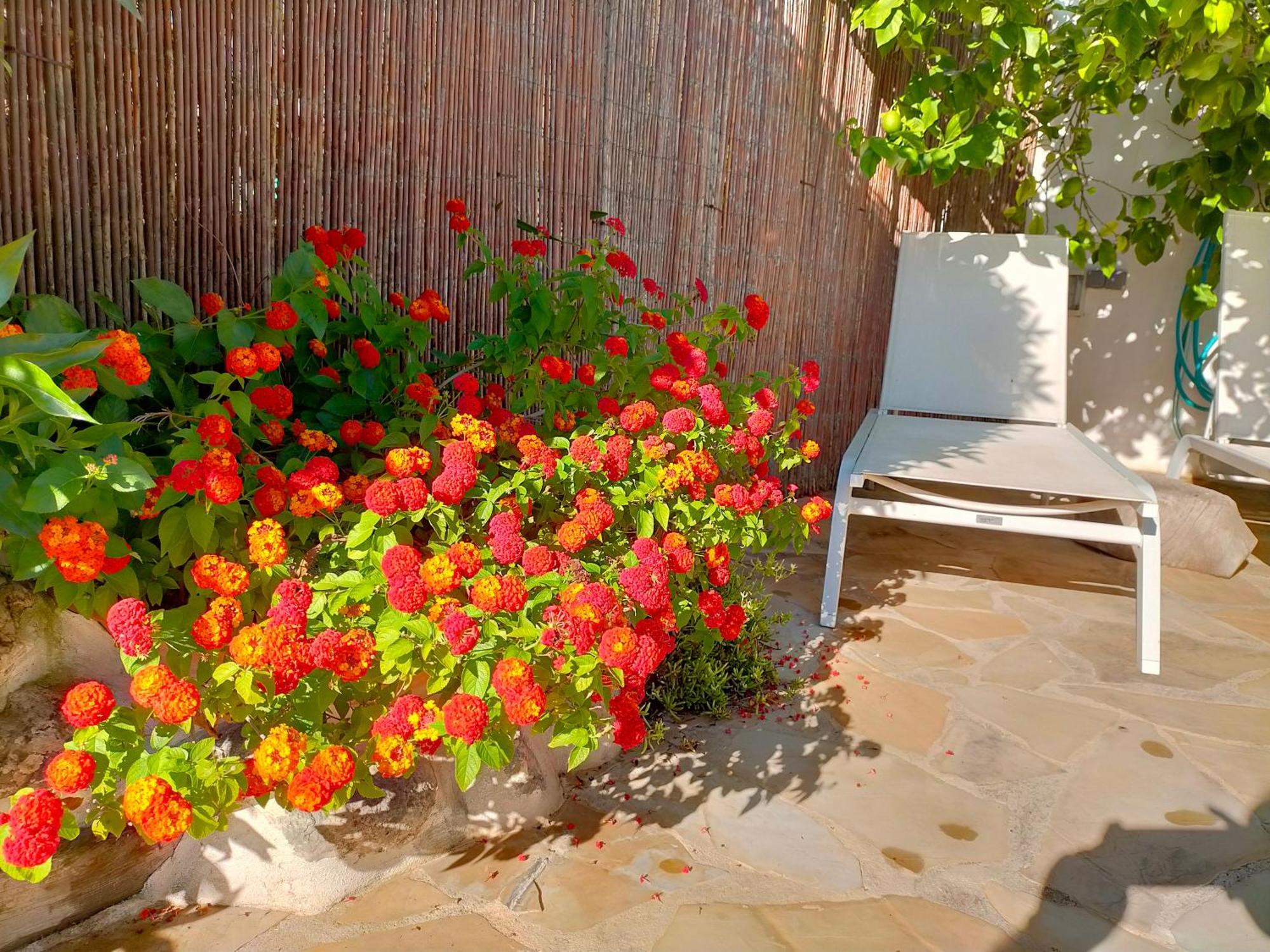 Casa Rural Tia Salome San Jorge  外观 照片